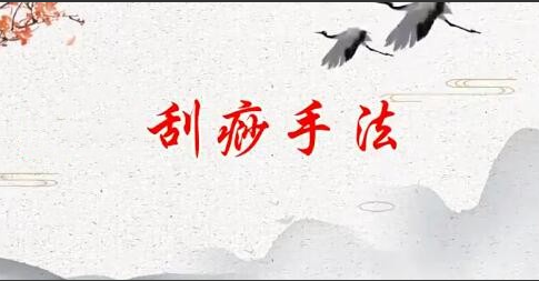 刘霞新版人体十二部刮痧视频课程13集